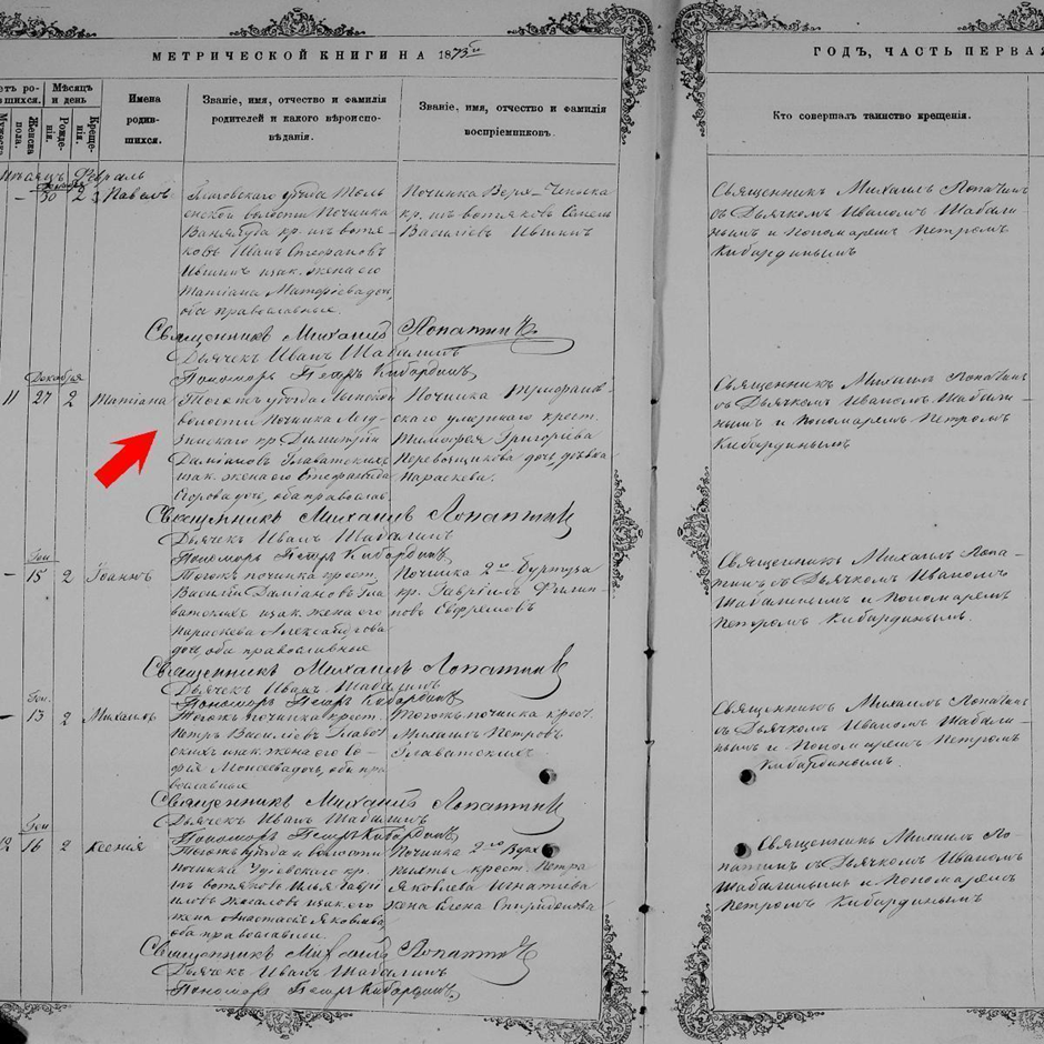 как построить генеалогическое древо